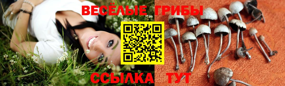 Псилоцибиновые грибы Psilocybine cubensis Красный Сулин